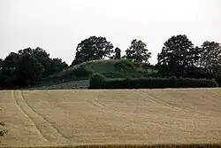 Die Kopfsteine aus Richtung Osten