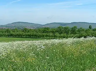 Hörnleskopf in der Mitte der Bergkette