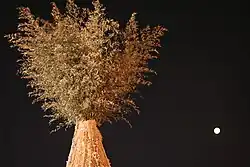 Ein Pyramidenfeuer am Daeboreum