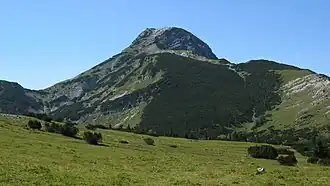 Der Kreuzgipfel (1911 m ü. A.) des Hochstadls, höchsten Gipfels der Kräuterin, von Nordosten gesehen.