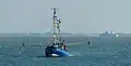 Krabbenkutter vor der deutschen Nordseeküste
