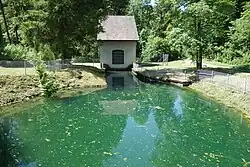 Spinnerei Sennhof, Kraftwerk Linsental