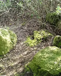 Die Steine des Grabes „Futterkamp 4“