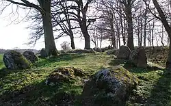Das östliche Langbett auf dem Ruserberg