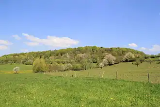 Der Kreuzberg bei Geiselbach