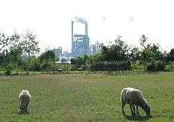 Das Werk der Firma Kronospan