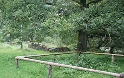 Brunnen und Stallungen