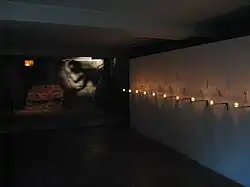 Vanitas, Krypta Salzburger Dom, 2009