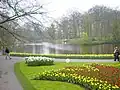 Keukenhof bei Lisse