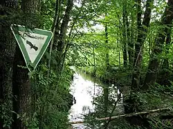 Kupferbach bei Spielberg