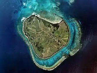 Korallen um Kuroshima (2009)