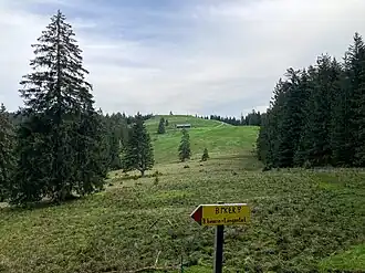 Längenberg mit Längenbergalm von Süden