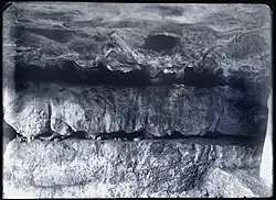 Léopold Chirons Fotografien der linken …