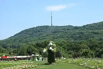 Der Schafberg mit Sendeturm