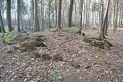 Großsteingrab Lübberstedt 3