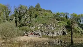 Der Lüneburger Kalkberg als Standort von Burg und Festung Lüneburg