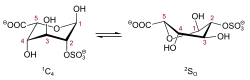 Konformationsgleichgewicht der 2-O-Sulfo-α-ʟ-iduronsäure (ʟ-IdoA2S)