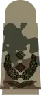 Aufschiebeschlaufen mit schwarzen Em­blemen auf 3-Far­ben-Flecktarn für Luftwaffenuni­form­träger (hier: Oberst­leutnant)