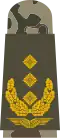 Aufschiebeschlaufe Feldanzug Luftwaffenuniformträger Generalleutnant