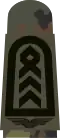 Aufschiebeschlaufe Feldanzug Dienstanzug Luftwaffenuniformträger Oberstabsfeldwebel