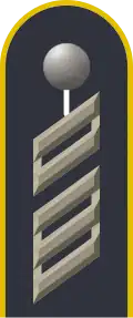 Jacke Dienstanzug Luftwaffenuniformträger
