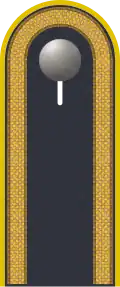 Dienstgradabzeichen auf der Schulterklappe der Jacke des Dienstanzuges für Luftwaffenuniformträger.