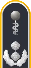 Dienstgradabzeichen auf der Schulterklappe der Jacke des Dienstanzuges für Luftwaffenuniformträger (Humanmedizin).