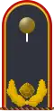 Brigadegeneral außer Dienst (Luftwaffenuniform)
