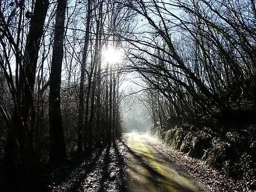 Zufahrtsweg hinab zum Belaygue bei Le Bernard