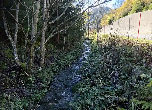 Quellbach der Schüss in der Schlucht von Les Convers, Kanton Neuenburg