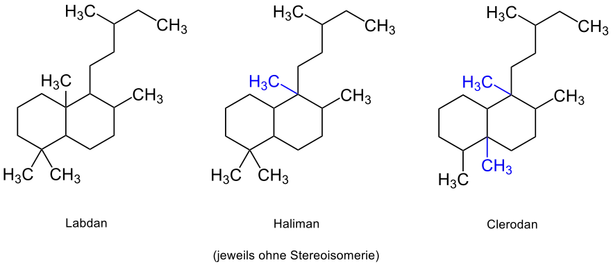 Strukturen von Haliman und Clerodan ausgehend vom Labdan, durch umgelagerte Methylgruppen
