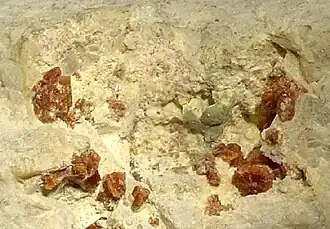 Labuntsovit, Chibinen