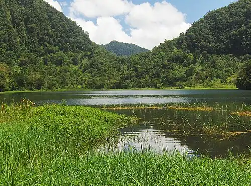 Landökosysteme und Kulturlandschaft des Komorenarchipels