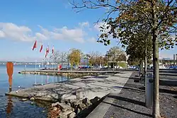 Seeufer in Lachen (2010)