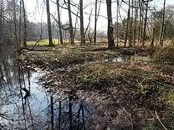 März 2015, vor der Reaktivierung