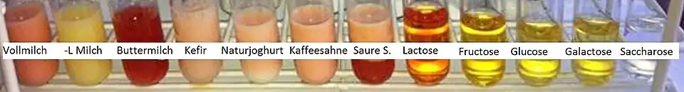 Wöhlk-Reaktion mit Milchprodukten und Zuckerlösungen. Je mehr Lactose enthalten ist, desto intensiver die Rotfärbung. Lactosefreie Milch erscheint gelb, ebenso wie Lösungen von Glucose, Fructose und Galactose. Reine Lactose erscheint lachsrot, Saccharose bleibt farblos.