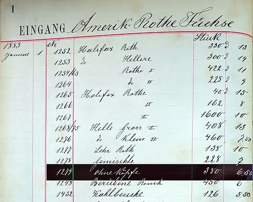 No. 1279: 380 Stück „Amerik. Rothe Füchse“, „ohne Köpfe“, also ohne die Spitzenqualität, Stück 6,50 Mark