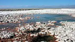 Laguna Chaxa ist Teil eines Naturschutz­gebietes. Der Zugang ist kontrolliert.