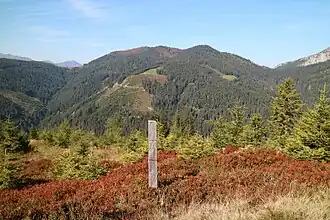 Lahngangkogel von Osten (Treffneralm)
