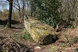 Menhir Roche-qui-Chôme