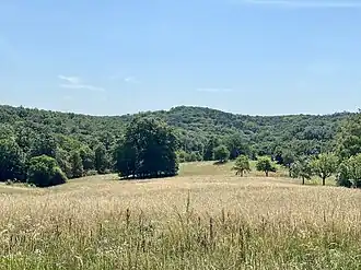 Blick von der Lainzer Großen Stockwiese auf den Kleinen Eichberg