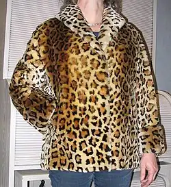 Biberlammjacke (leopardgefärbt) (1955)