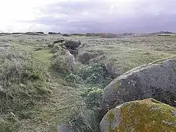 Allée couverte von Ribl