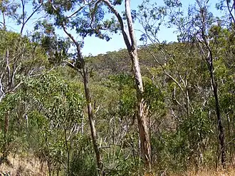 Landschaft im Belair-Nationalpark