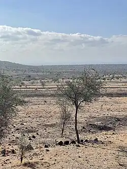 Landschaft in Makuyuni