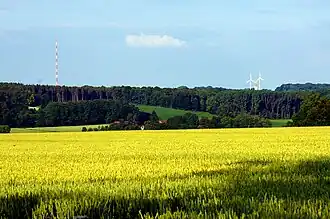 Landschaft in den Baumbergen: Blick ostnordostwärts zum Westerberg mit dem Sender Nottuln (links) und, zwischen zwei Windrädern hindurch, dem Longinusturm (rechts)