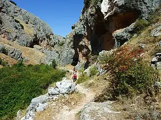 Felsschlucht bei Zuheros