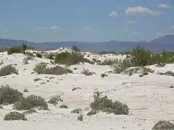 Schutzflächen für Flora und Fauna in Cuatro Ciénegas