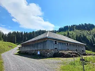 Gapfohl Alpe und Gapfohler Falben