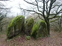 Der Geldbeutel Margots